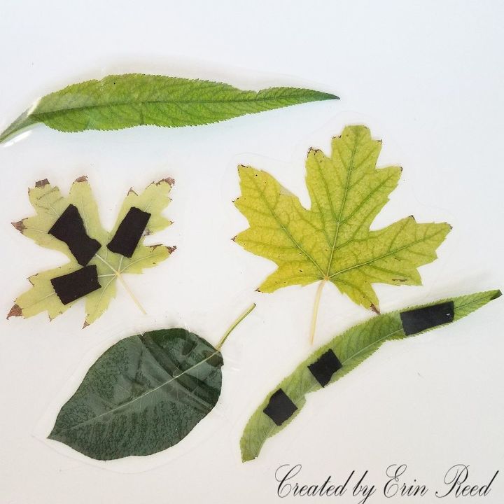 4 formas divertidas de usar hojas laminadas