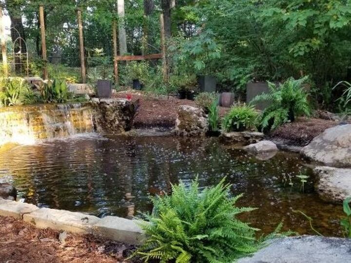 q how do i get rid of the brown pond