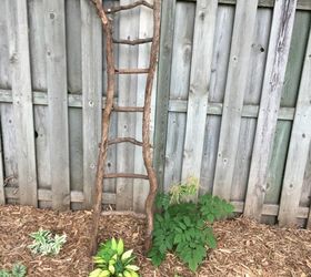 Make a Rustic Garden Ladder Trellis Using Tree Branches