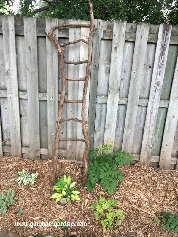 Make A Rustic Garden Ladder Trellis Using Tree Branches Hometalk