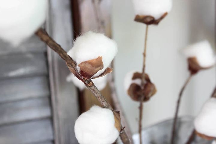 diy cotton stems