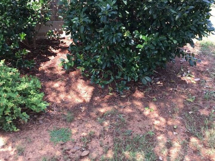 q how to makeover this flowerbed