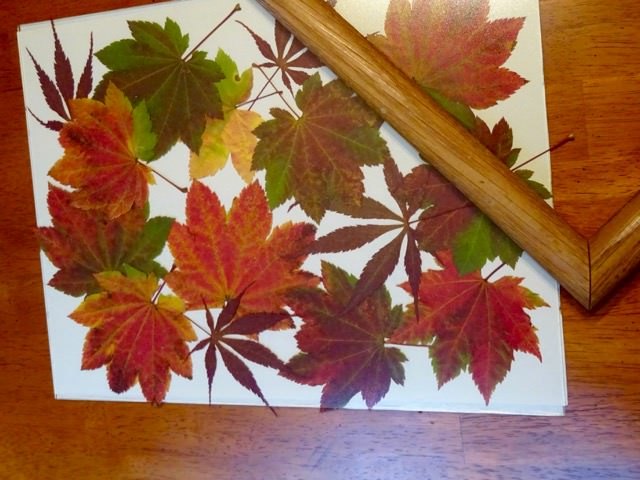display fall color with diy pressed leaves artwork