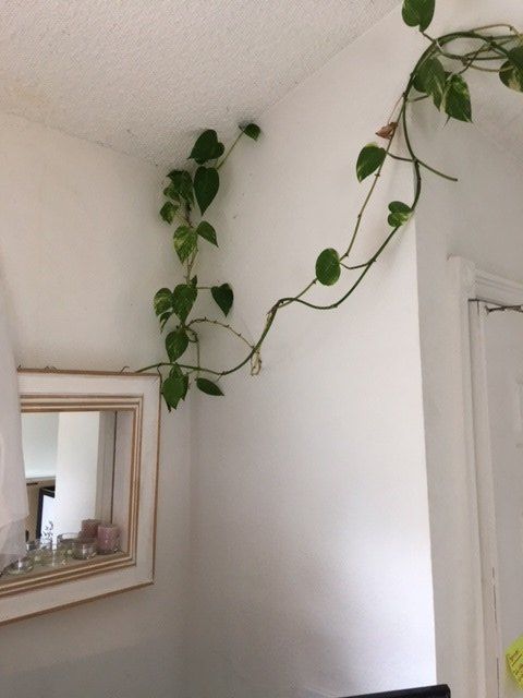 q how to hang a heavy frames mirror to be decorated w plaster flowers