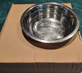 raised dog bowl