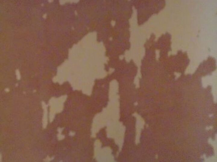 q paint walls