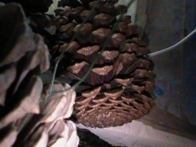 una simple corona de otoo de conos de pino