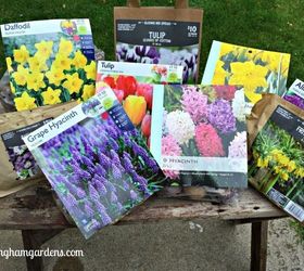 Jardinería de otoño - Cómo plantar bulbos para obtener increíbles flores de primavera