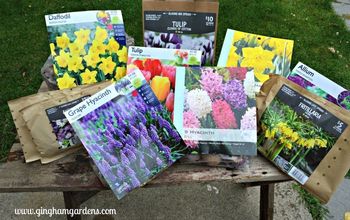 Jardinería de otoño - Cómo plantar bulbos para obtener increíbles flores de primavera