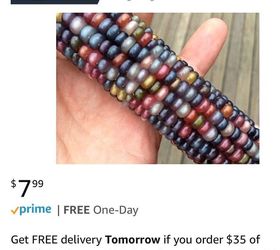 Glass Gem Ornamental Corn Hometalk