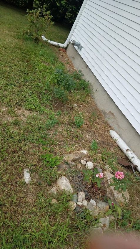 q front house gravel or mulch