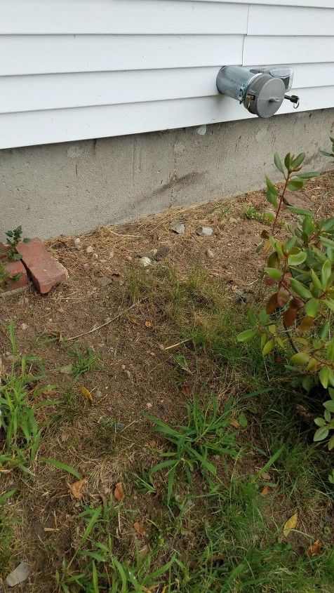 q front house gravel or mulch