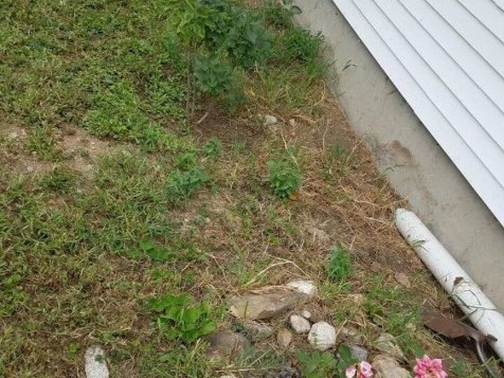 q mulch or gravel around plants and in front of house