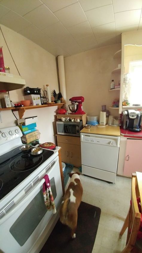 q i hate my kitchen from the 1950 and want yo know what i can do with it