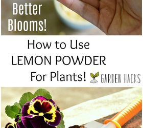 how to use lemon powder for plants