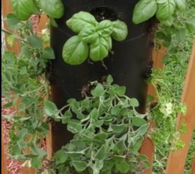 How to Save & Dehydrate