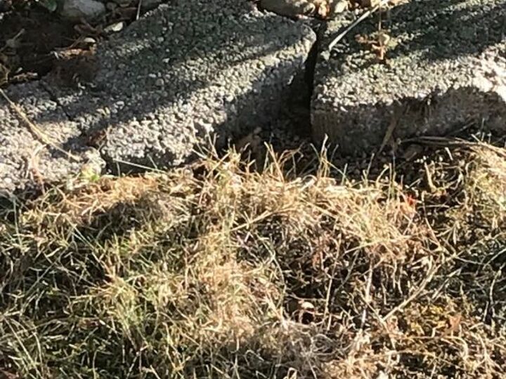 q in ground bee problem