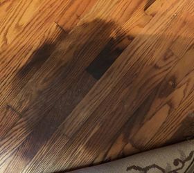 Urine on 2024 hardwood floors