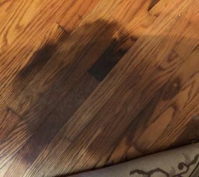 how can i best treat a hardwood floor damaged by dog urine