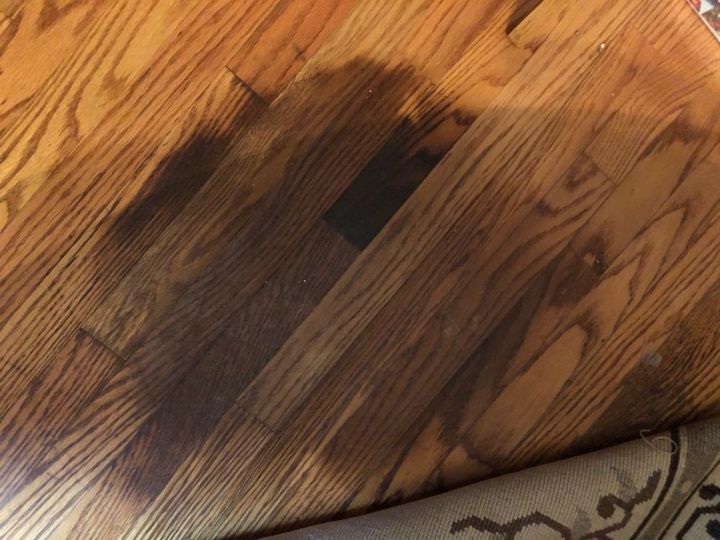 Hardwood Floor Damaged By Dog Urine, How To Treat Urine On Hardwood Floors
