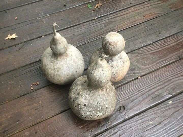 q how do i create something great with these gourds