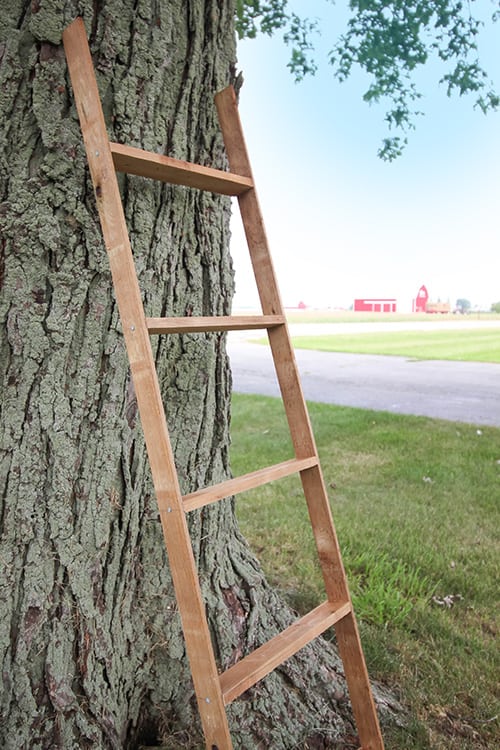 mini diy farmhouse ladder