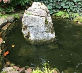 q how can i keep leaves out of koi pond