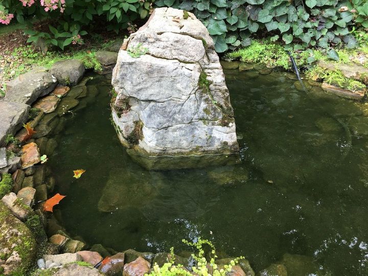 q how can i keep leaves out of koi pond