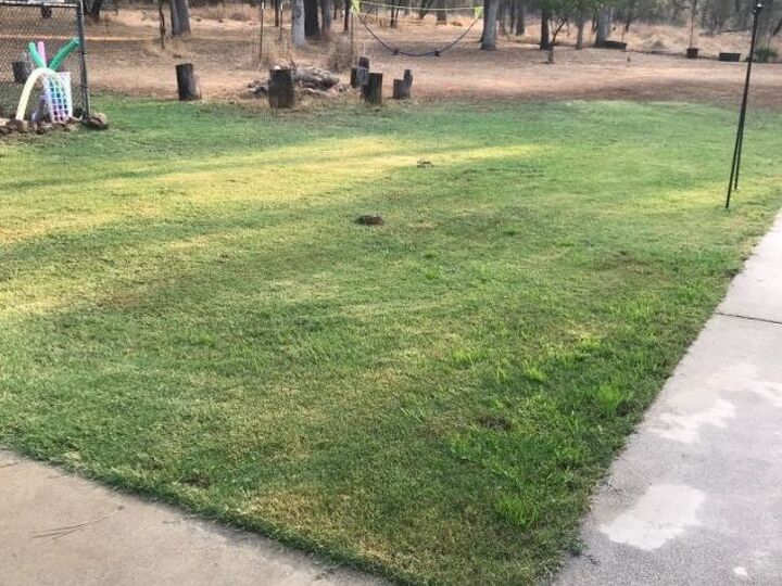 q how do i get rid of crabgrass