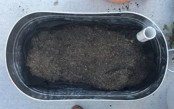 Cómo plantar una ensalada en contenedor