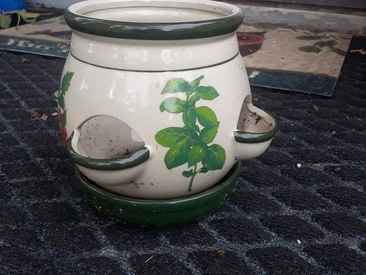 q help what do i put in this cool planter with holes around the sides