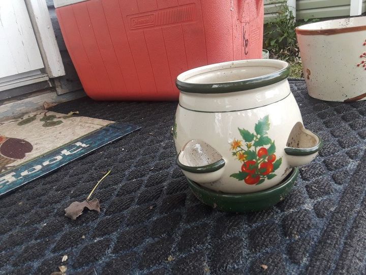 q help what do i put in this cool planter with holes around the sides