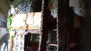 Jungle Themed Bedroom | Hometalk