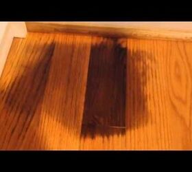 Dog Urine Stains On Wood Floors Hometalk