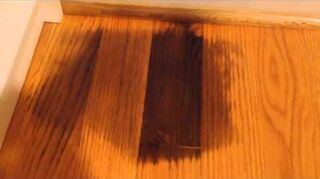 Dog Urine Stains On Wood Floors Hometalk