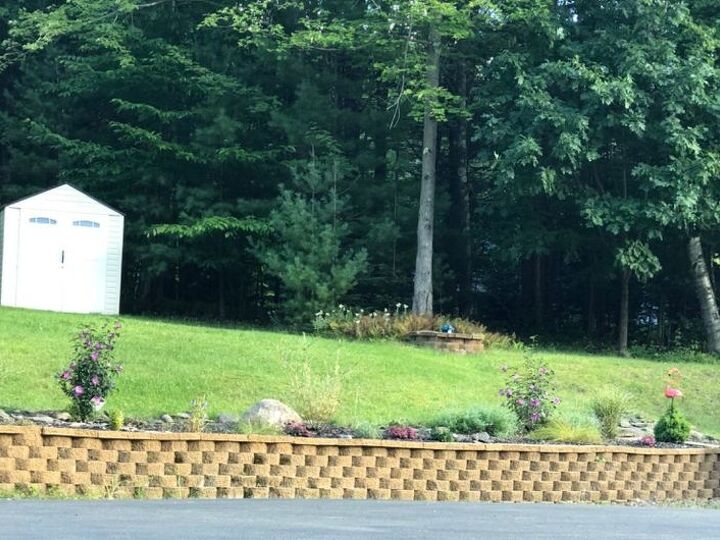 q help deer are eating our garden