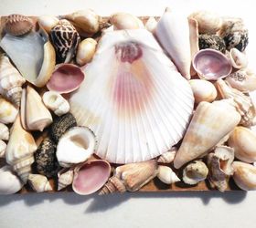 seashell memento box