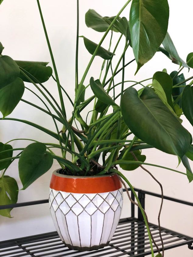 How to Propagate Monstera Plant? How to propagate your Monstera deliciosa plant