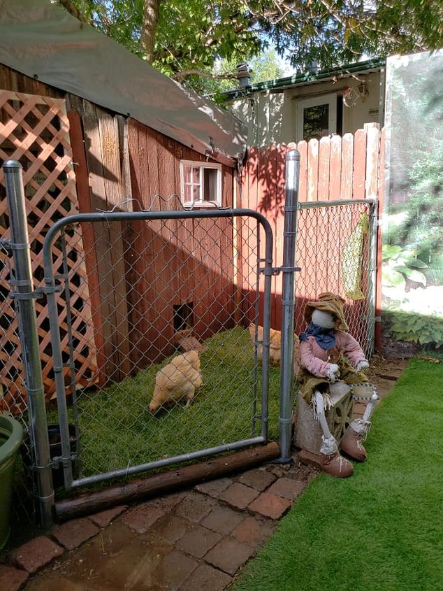 actualizado recinto de la yarda para los pollos