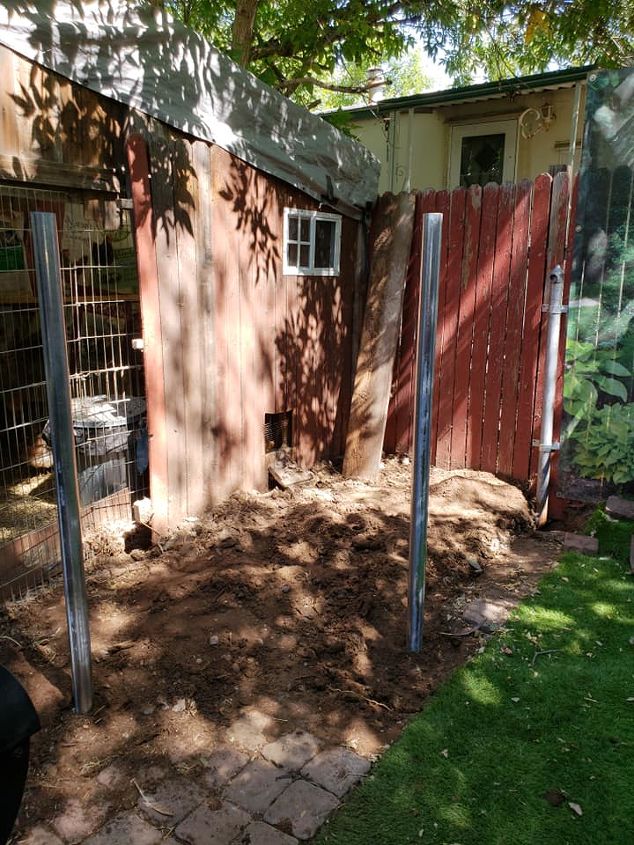 updated yard enclosure for chickens