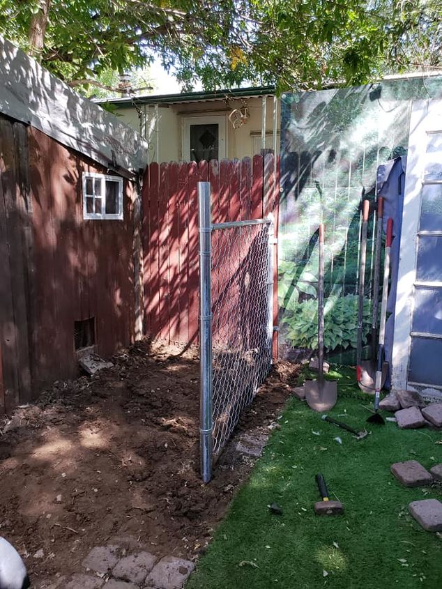 recinto de quintal atualizado para galinhas