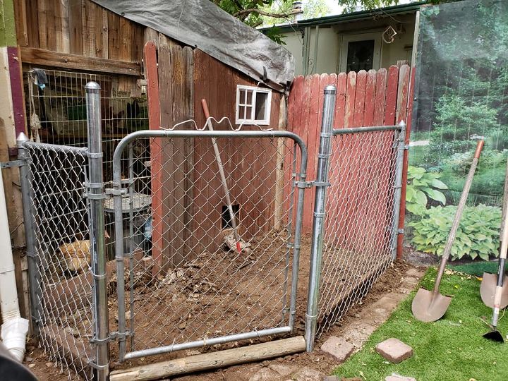 updated yard enclosure for chickens