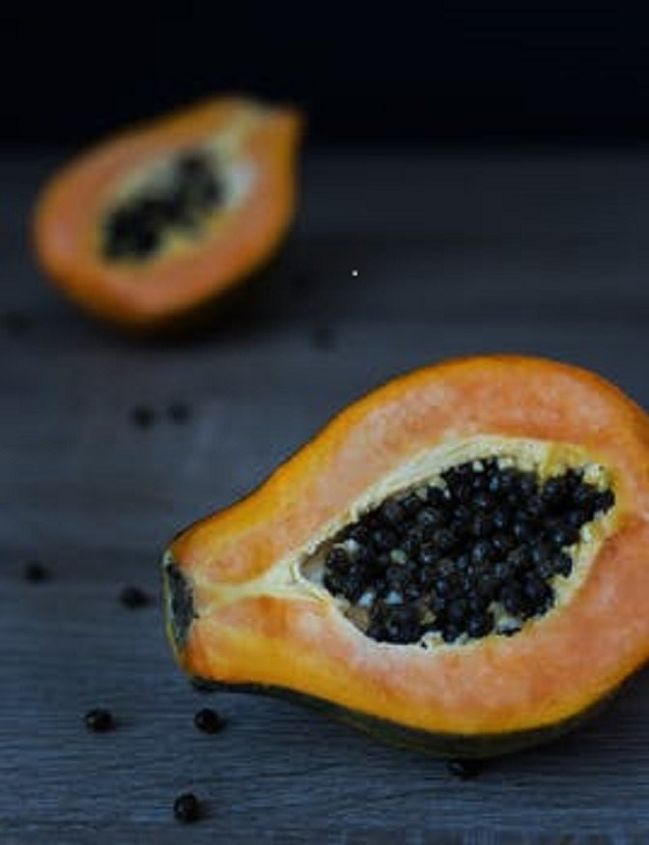 cultivar papaya en contenedores