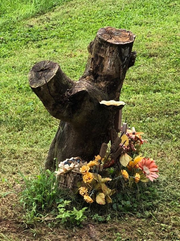 how can i turn this oddly shaped tree stump into a birdbath