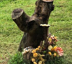 bird bath made from tree stump