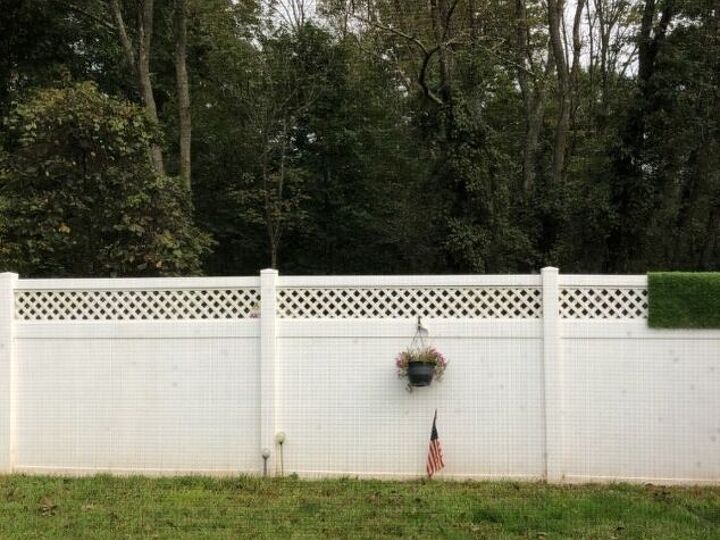 q make the woods visible
