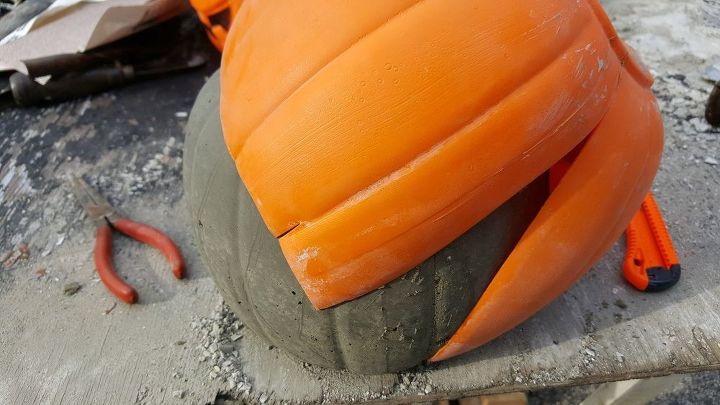 concrete pumpkin flower pot for autumn and halloween