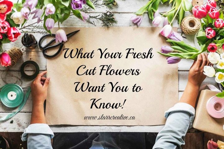 o que suas flores frescas querem que voc saiba