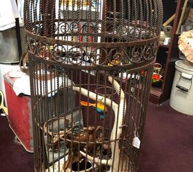 After you sandblast bird cage, what paint is safe for a parrots? Hometalk