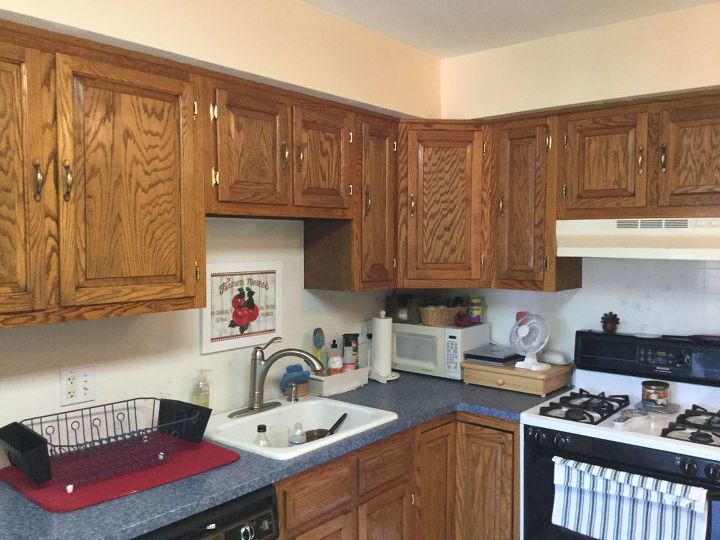 q should i paint kitchen cabinets or hire a professional
